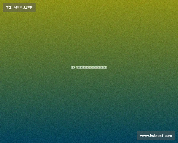 探索F1赛车世界的速度激情与科技革新全球赛道征程